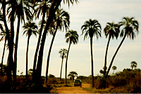 Chaco