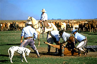 Entre Rios