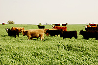 La Pampa