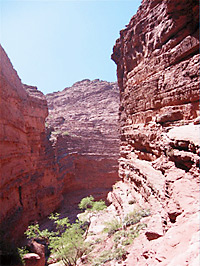 Salta