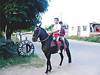Salta