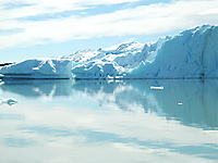 Santa Cruz