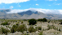 Tucum&aacute;n